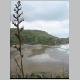 Piha Beach 026.jpg